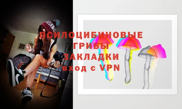 2c-b Алзамай