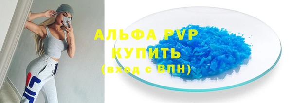 гидра Алексин