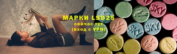 гидра Алексин